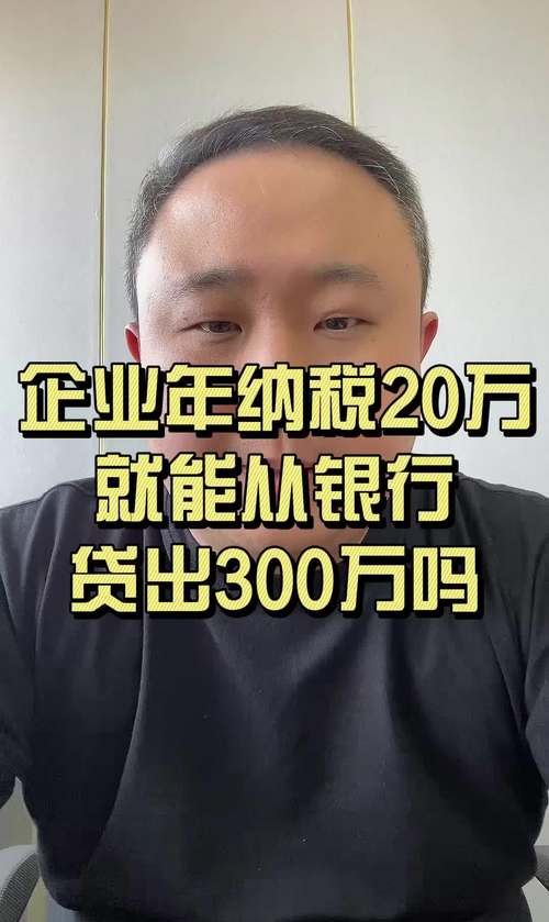 纳税20万企业如何去银行贷款