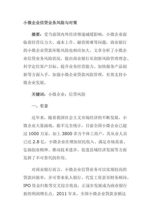  金融机构贷款给小微企业的风险及应对策略