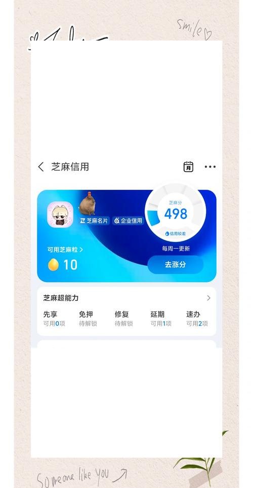 企业支付宝为何没有芝麻信用贷款？深度剖析与应对策略