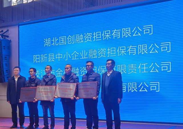 合肥市中小企业贷款担保公司，助力企业腾飞的金融桥梁