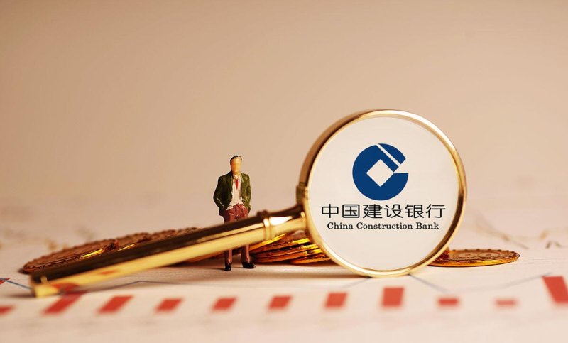 上海建设银行企业信用贷款，助力企业发展的重要金融工具
