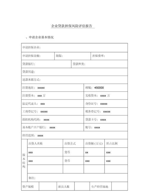 银行贷款与企业报表，关键信息与风险评估