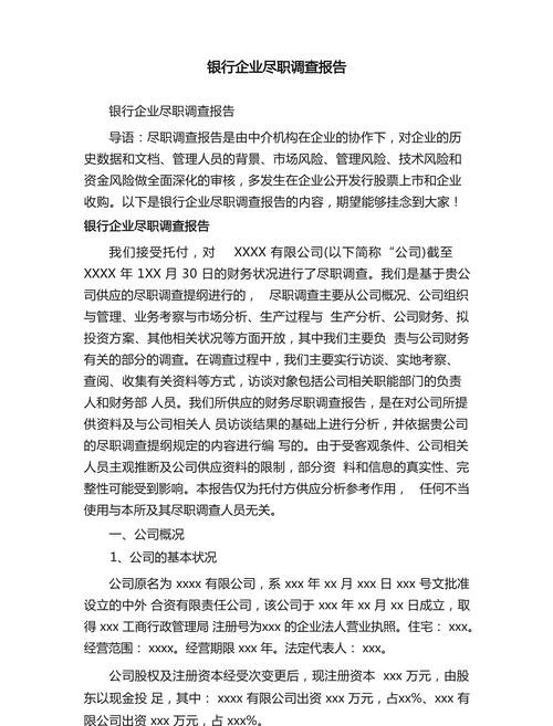 企业银行贷款尽职调查报告，全面评估与风险洞察