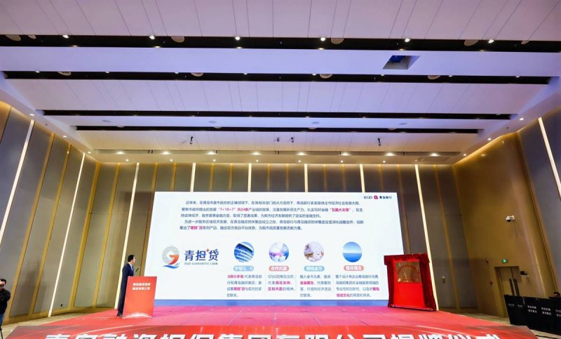 青岛企业税款抵押贷款，助力企业发展的创新金融模式