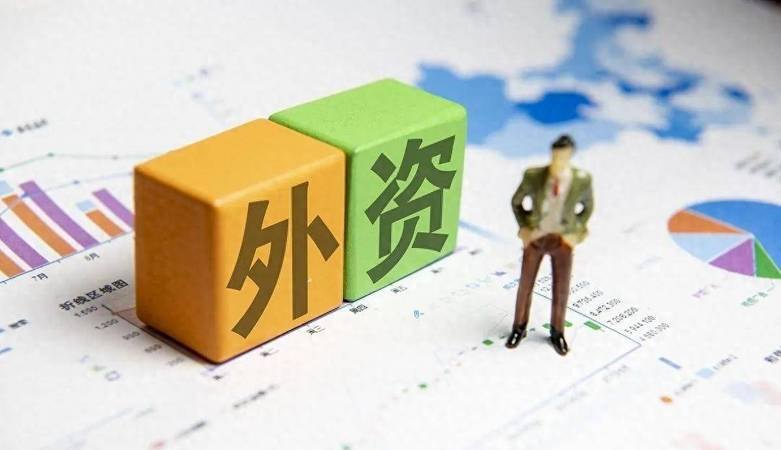 外资企业在国内银行贷款的可行性与限制