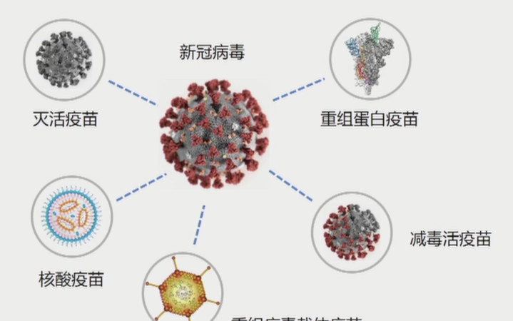 主权债务重组疫苗，全球金融稳定的新策略