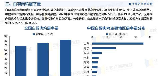 白羽肉鸡企业银行贷款，机遇与挑战