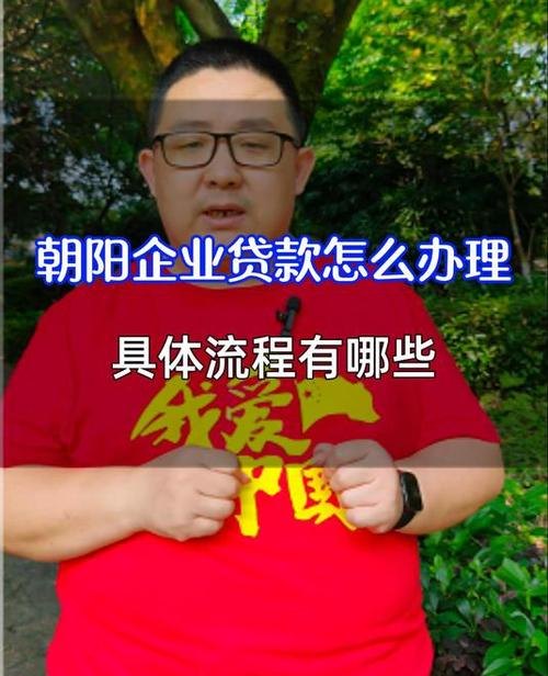 朝阳企业无抵押大额贷款，机遇与挑战