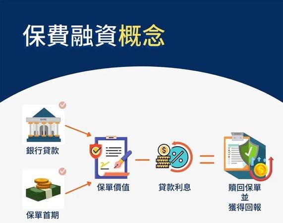 贷款保证保险与企业融资成本