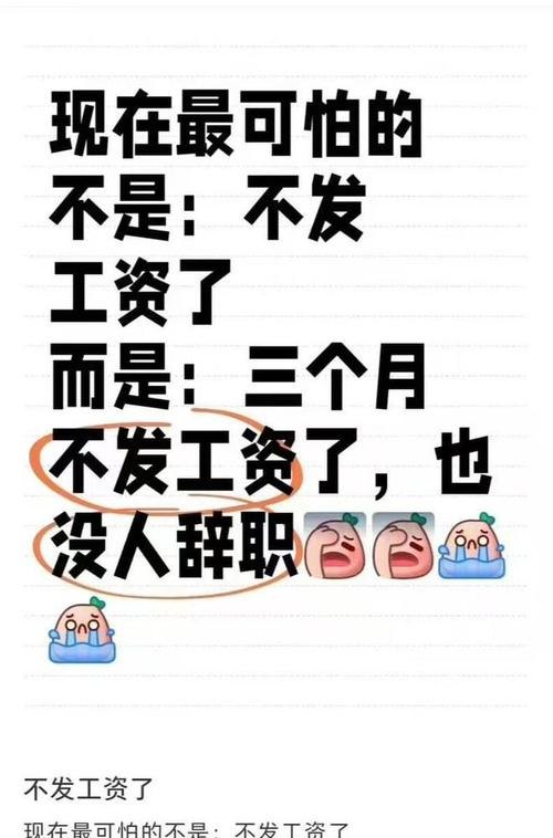 企业困境与工人权益，工资拖欠与银行贷款的纠葛