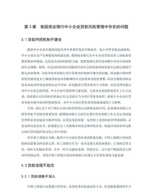 中小企业贷款审计中的风险分析