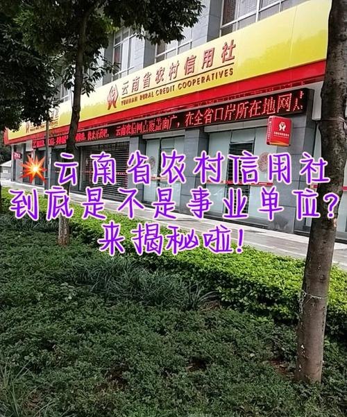 云南省农村信用社小企业信用贷款，助力小微企业发展的重要力量