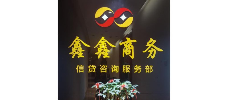 盖州市鑫鑫中小企业贷款融资担保有限公司，助力企业发展的金融桥梁