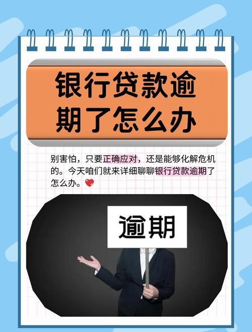 企业在银行贷款逾期的影响与应对策略