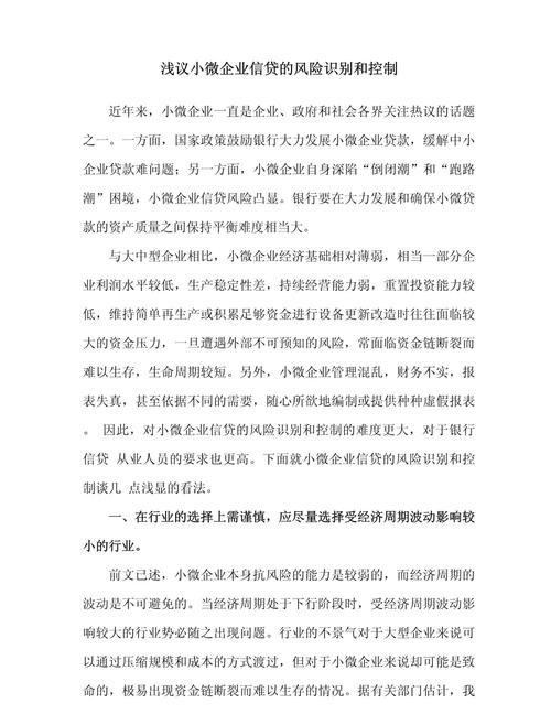  小微企业贷款的风险识别与控制