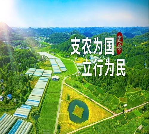 农业企业无抵押贷款，助力农业发展的新引擎