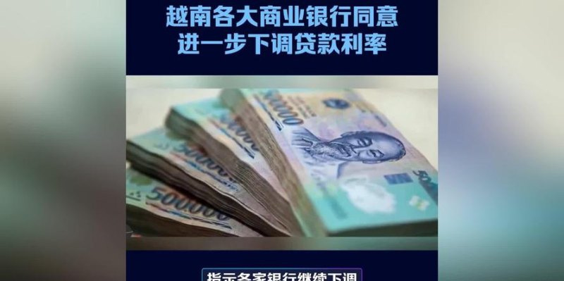 越南企业向外国银行贷款的影响与挑战