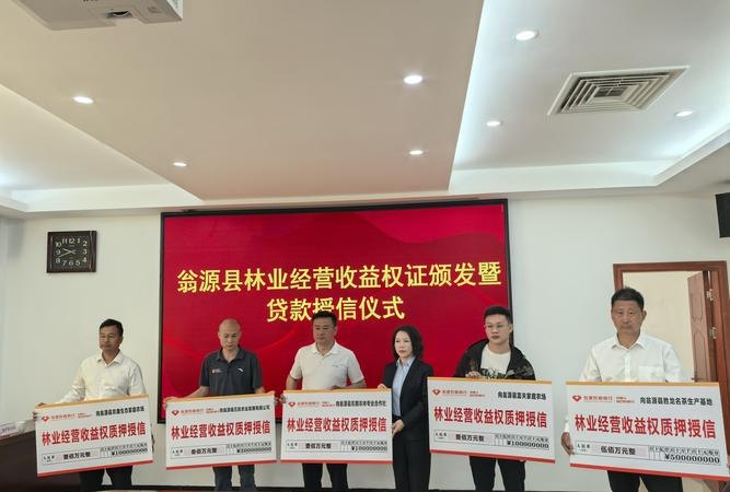 综合授信，银行助力企业发展的重要金融工具